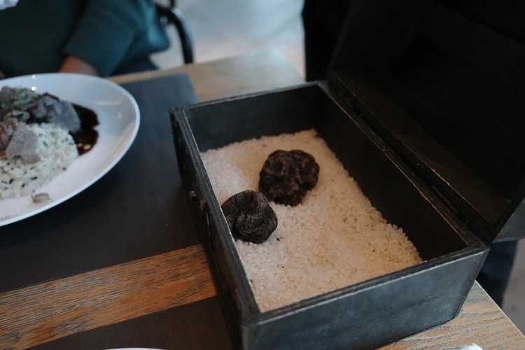 トリュフずくし！女子会や記念日など東京ミッドタウンで味わえるコスパ◎レストラン⸝⋆⸝⋆_6