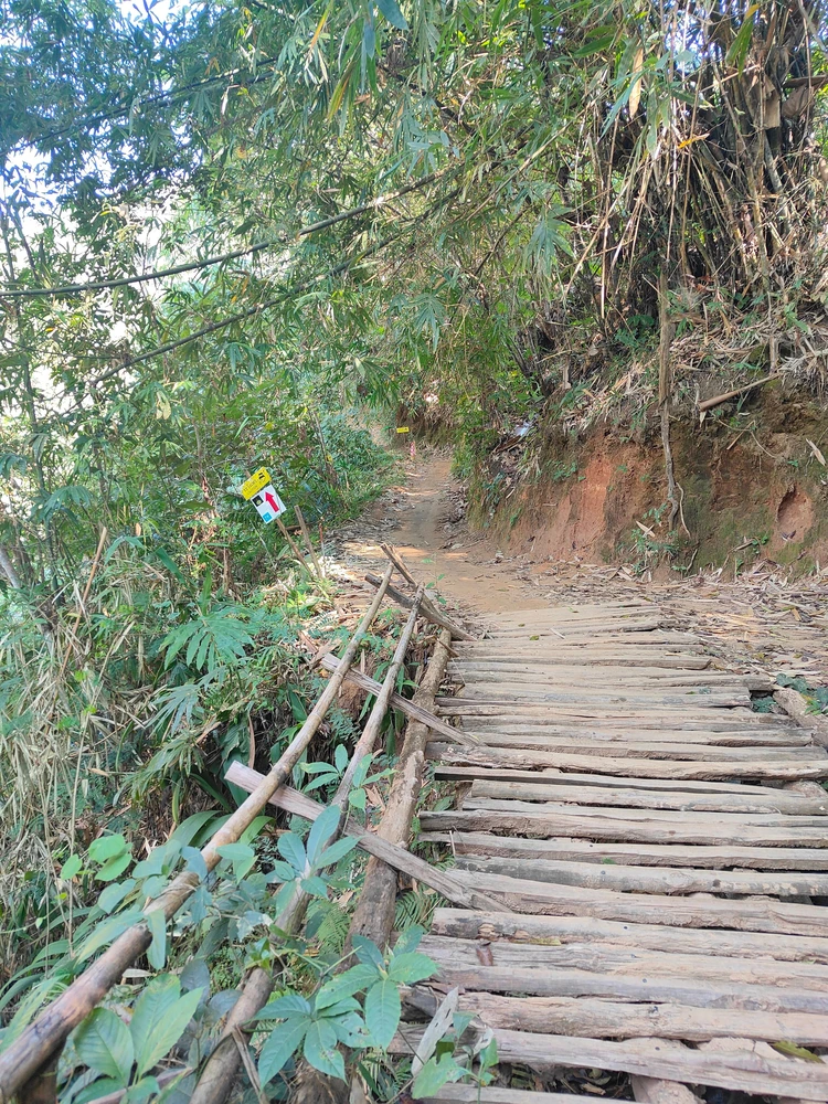 バーンリーカイ Ban Li Khai チェンライ ハイキング 道
