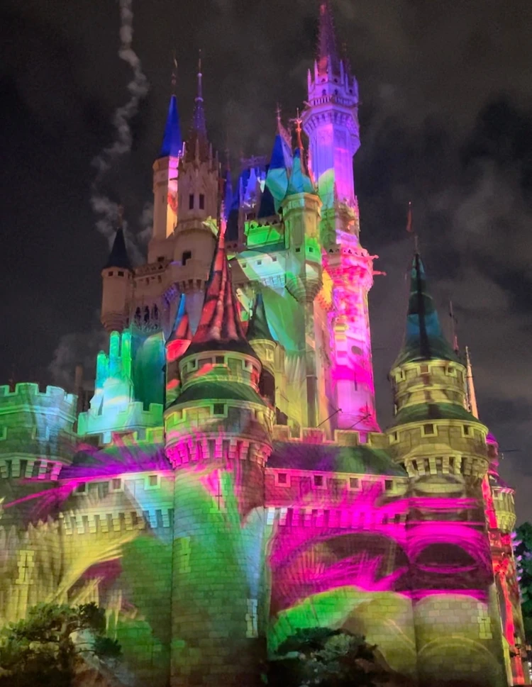 【クリスマスディズニー】絶対チェックしてほしいポイントをご紹介!ランドの大人の楽しみ方!_8