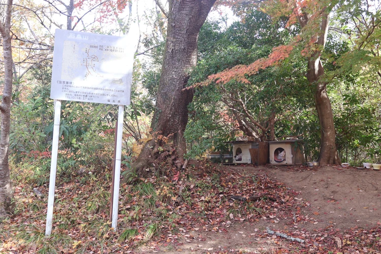 【登山デビューしました】福島・絹谷富士で紅葉と海を望むパノラマ絶景を楽しむ【ゆるく低山から第一歩】_6