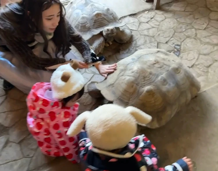 0距離で動物とふれあえる、“特別な1日”がここにあった_3