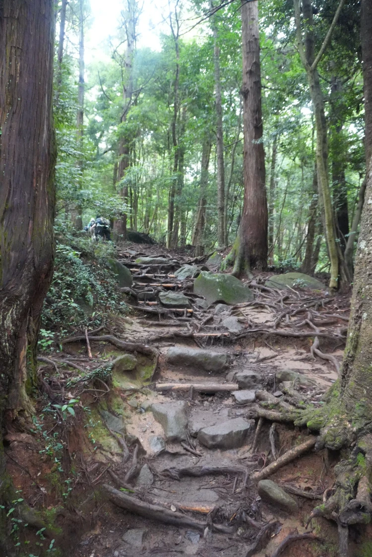 【筑波山登山】岩場だらけの中級コース体験記｜注意点・温泉情報あり_3_1