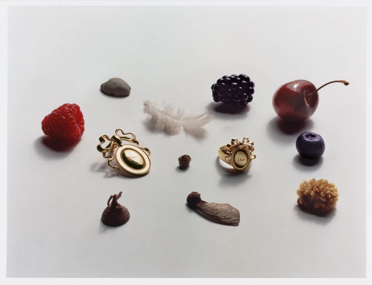 ディオール　メダリオンライン