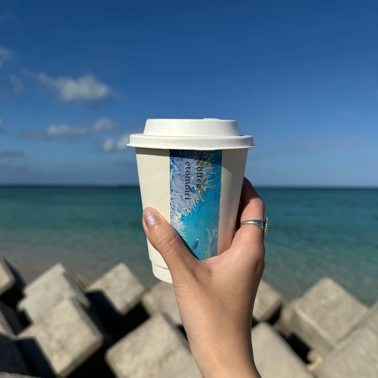 【西表島ひとり旅・観光編】カヌーやシュノーケリングもひとり参加ok！人気アクティビティにトライ_17