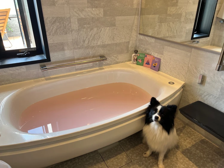 【フェムケアオタクが語る】生理中におすすめの‘生理浴’_2