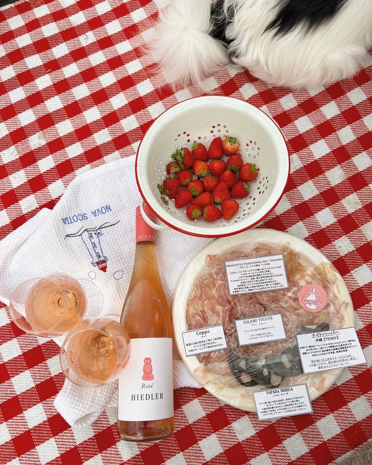 〖春の楽しみ〗成城石井で買える♡お花見におすすめワイン3選 _6