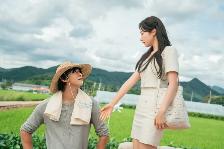 【働く30代におすすめの韓国ドラマ】キノコ×耕運機×アン・ヒョソプのケミに癒される！ 『本日も完売しました』
