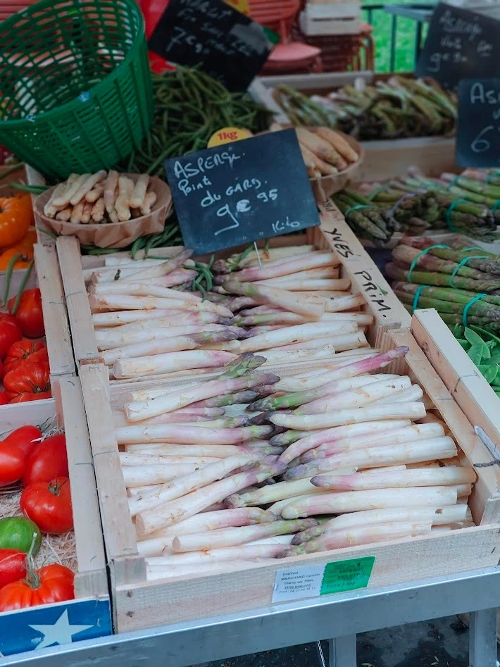 フランス　リヨン　白アスパラ