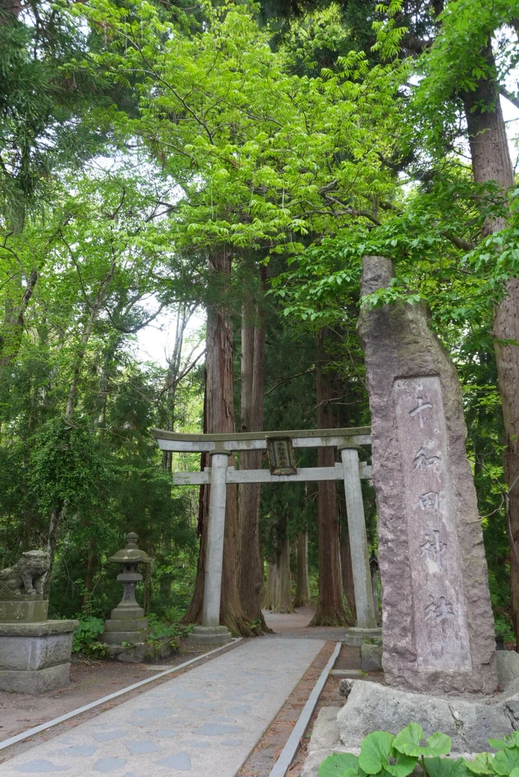 【2日目｜青森】十和田湖と白神山地を巡る大自然の東北絶景旅_1_2