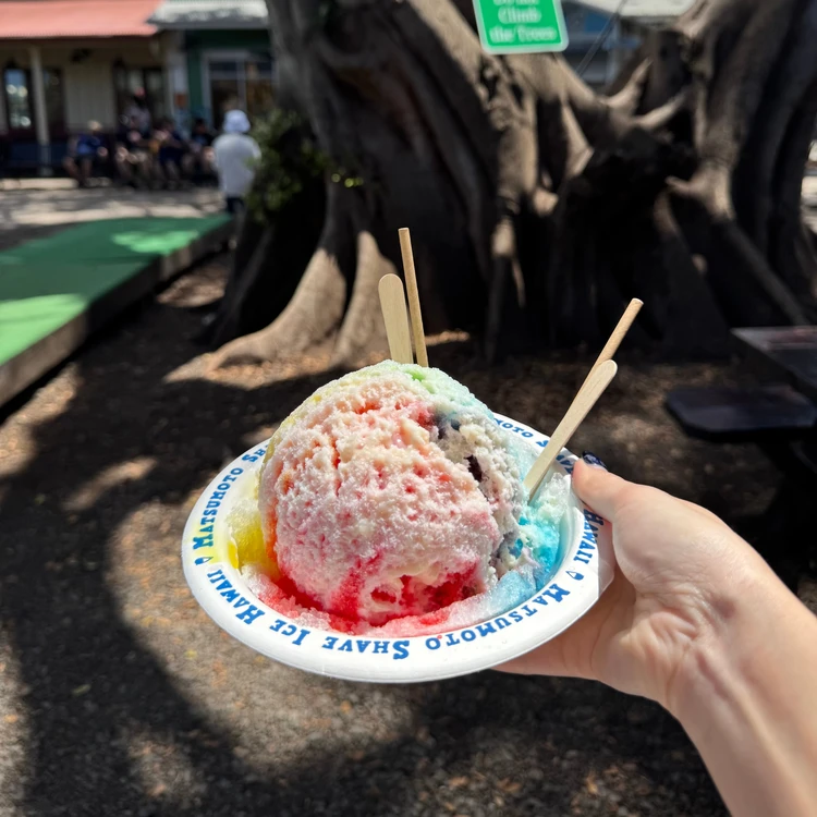 【ハワイ】おすすめ観光スポット〜ノースショア編〜_3