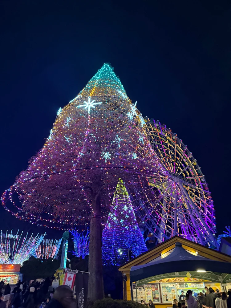 冬のご褒美デート。読売ランド「ジュエリミネーション」✨_3_1