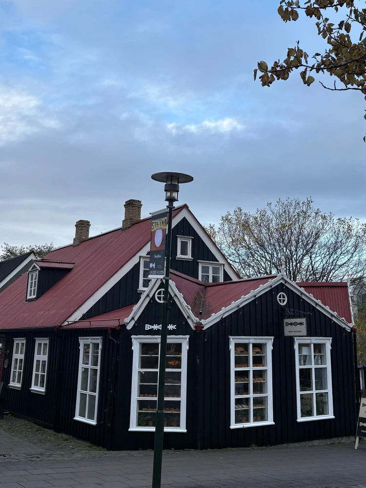 暮らすように旅する北欧・アイスランド! 大自然とカフェ巡りを4日間で堪能するモデルコース|後編_1_1