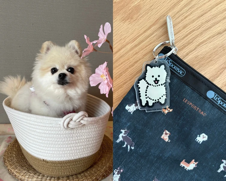 わんこ柄にキュン♡BAILA4月号付録のポーチが日常使いに最適_3