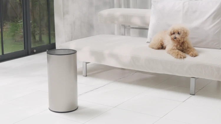 【BAILA公式Instagramフォロー&いいねキャンペーン】『moya』の加湿器(ブラック)を合計1名様にプレゼント!