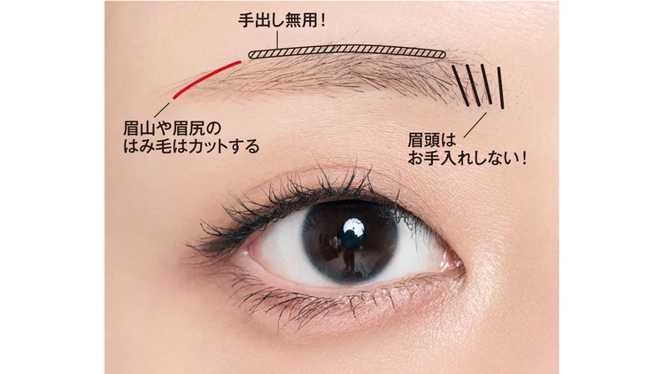 大人の正解眉「薄アーチ眉」はお手入れがカギ！自眉のセルフケア方法をヘア＆メイクが伝授