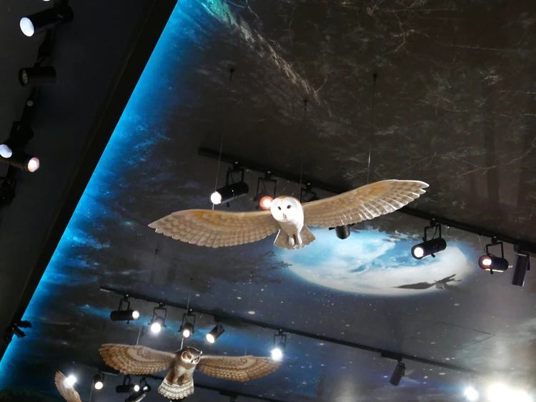 「ハリー・ポッター ショップ 原宿」フクロウ