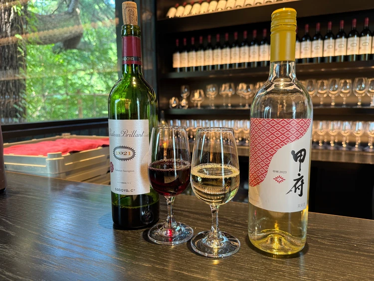 	【徒歩だけで満喫】車なしOK！山梨・甲府一泊二日モデルコース｜都内から電車で90分の大人旅_8