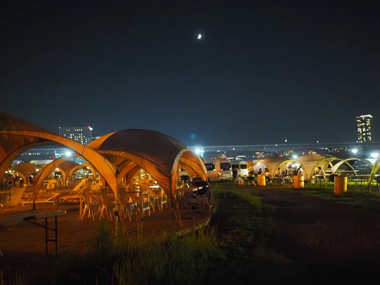 WILD MAGIC夜景