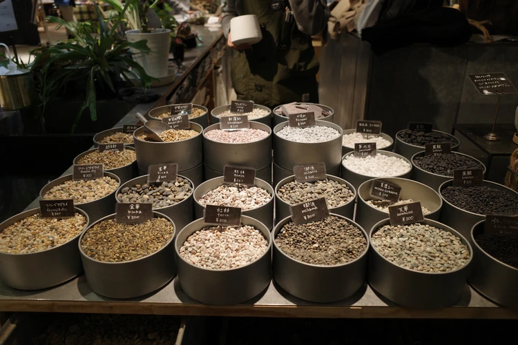 観葉植物 garageshibuya garage インテリア リビング