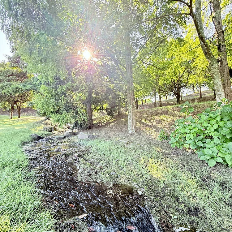 ゴルフ5カントリー オークビレッヂは“可愛い”が詰まってる_13_2