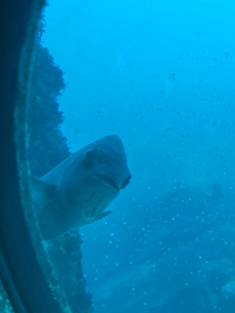 【千葉・勝浦】車無しでもOK！都内から日帰りお出かけプラン【シルバーウィークにも◎】_13_2