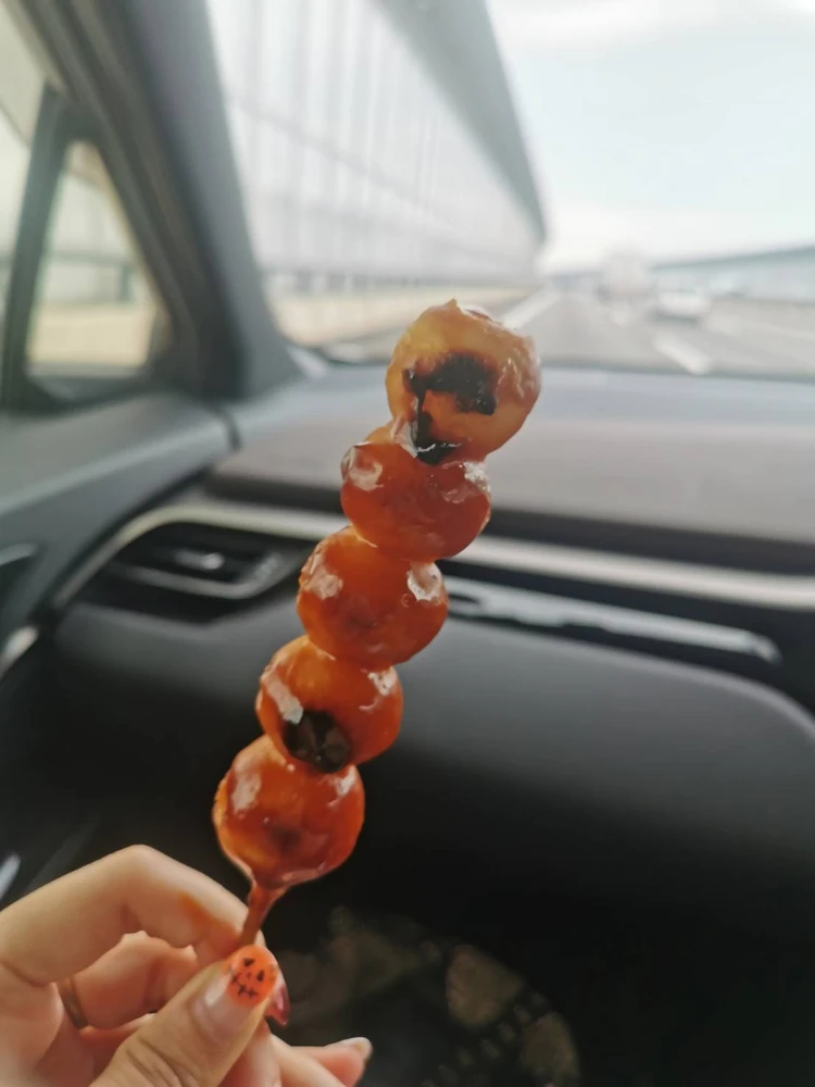 【浜松】風と砂のアートを楽しむ中田島砂丘が日帰り絶景ドライブ旅に最適!【週末リセット】_13_2