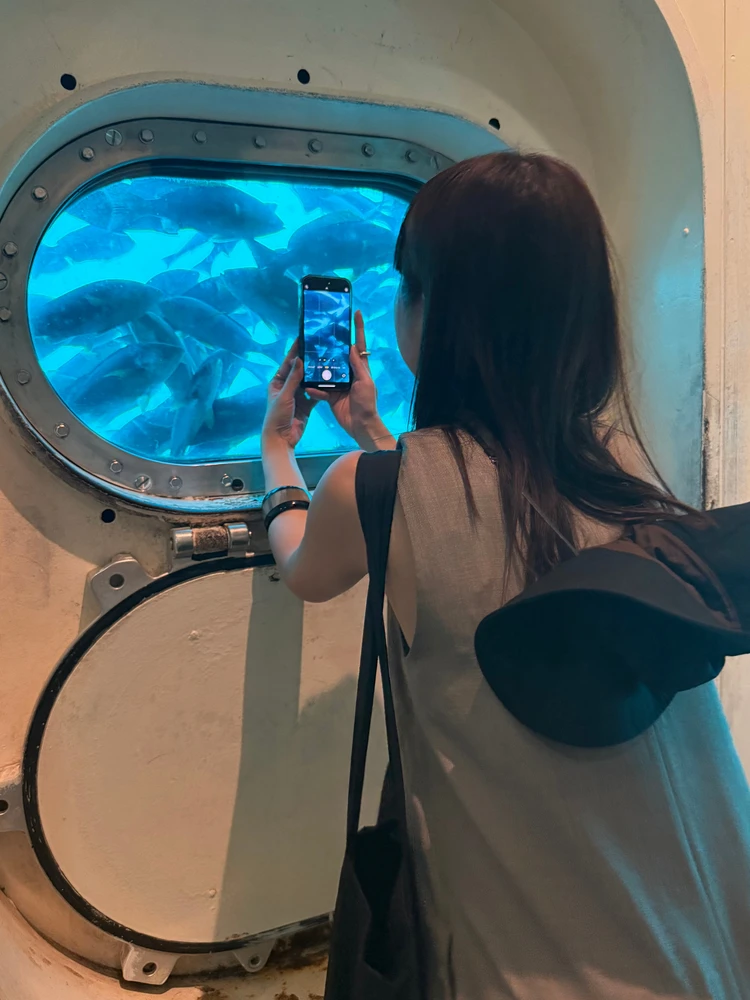 【千葉・勝浦】車無しでもOK！都内から日帰りお出かけプラン【シルバーウィークにも◎】_13_1