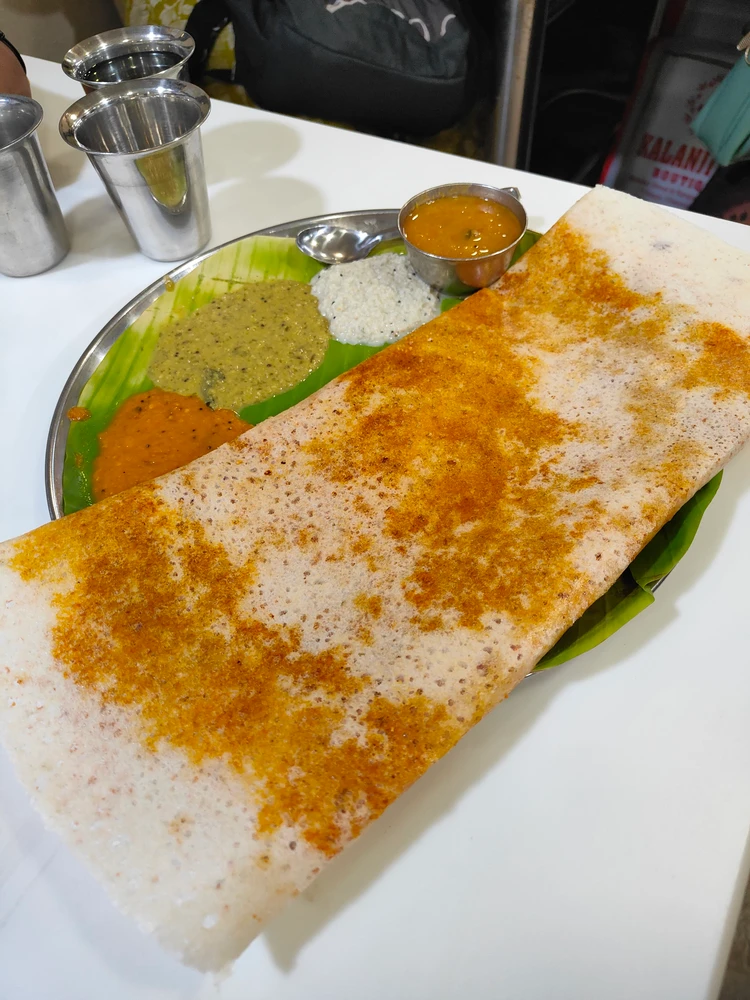 チェンナイ　インド　ランチ　ロティ