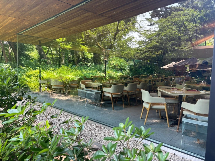 まるで軽井沢!都心の緑あふれるガーデンレストラン【TEIEN Restaurant comodo】_1