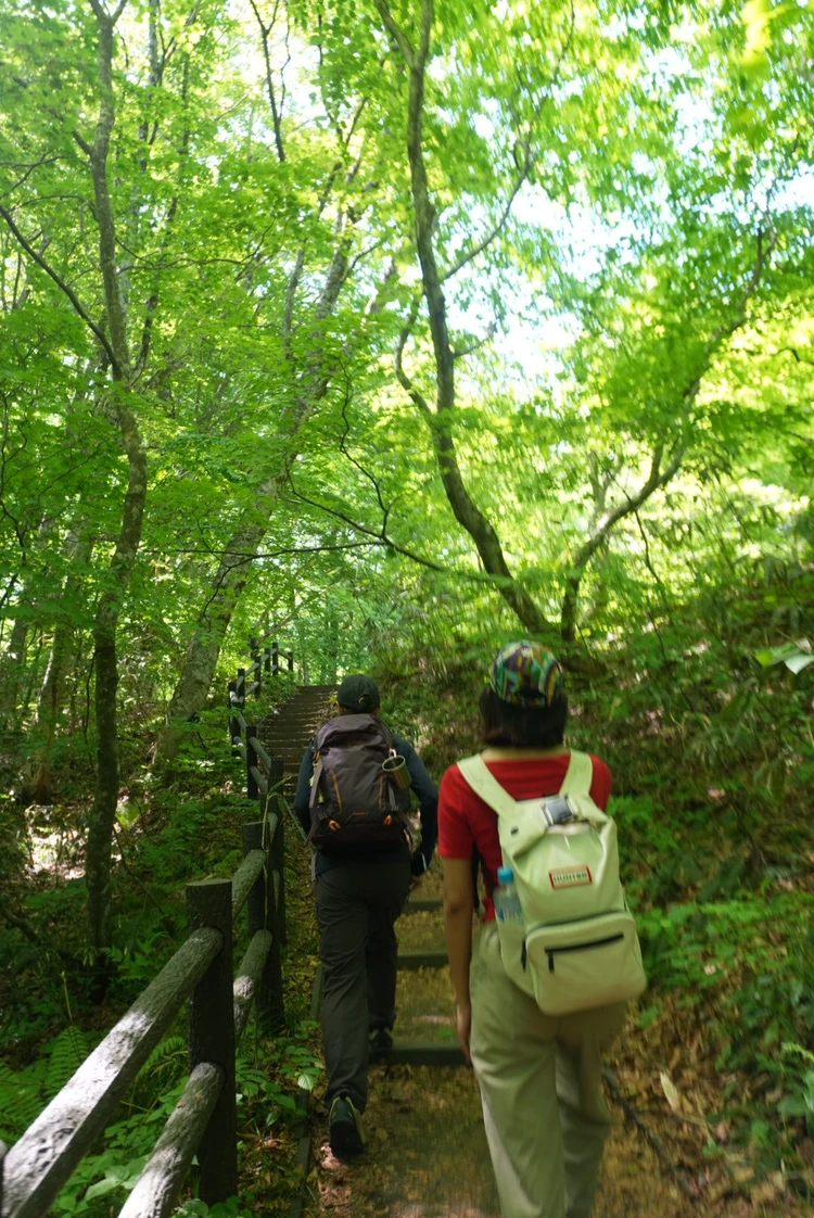 【2日目｜青森】十和田湖と白神山地を巡る大自然の東北絶景旅_7_1