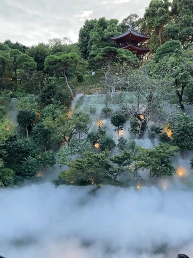 椿山荘の名物、東京雲海。夜はライトアップもされて幻想的