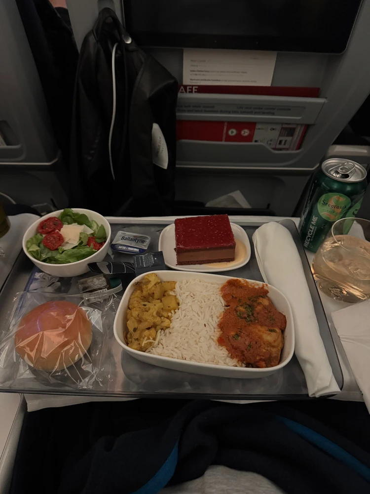 #機内食レポ｜デルタ航空で楽しむ本格インド風チキンカレー_2_2