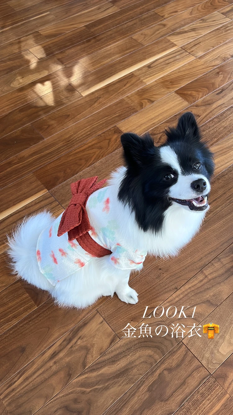 【愛犬の夏コーデ♡】注目のmonchériの涼感ウェア_2