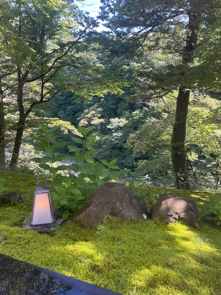 テラスからの眺め