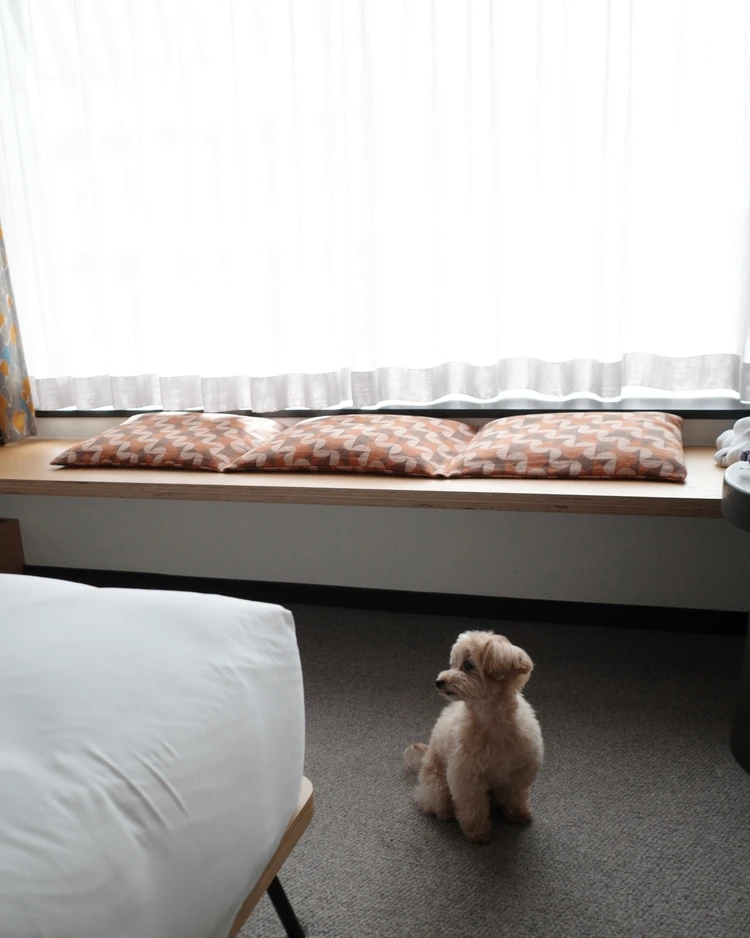 【京都ペット可ホテル】Ace Hotel Kyoto宿泊記｜犬連れ旅行におすすめの理由_3