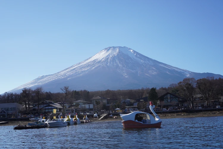 【富士旅行②】1泊2日のんびり子連れ旅|富士サファリ&山中湖ガイド_9