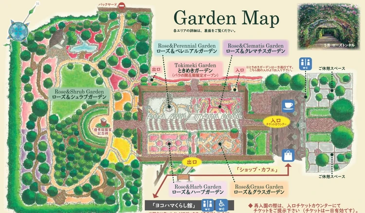 【横浜・イングリッシュガーデン】バラとあじさいの楽しめるお庭♡週末のお出かけに♡_4