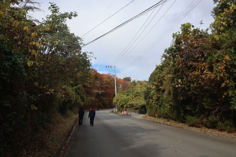 【登山デビューしました】福島・絹谷富士で紅葉と海を望むパノラマ絶景を楽しむ【ゆるく低山から第一歩】_4
