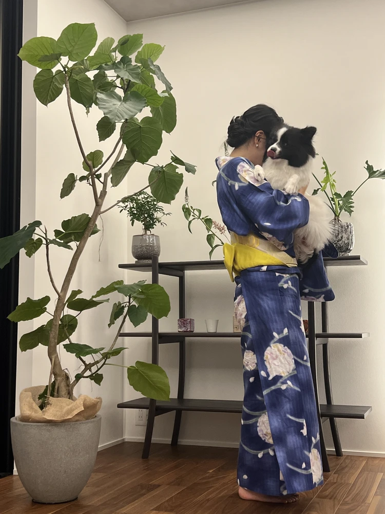 心地よいグリーンのある暮らし。我が家の観葉植物たち#おうち部_2