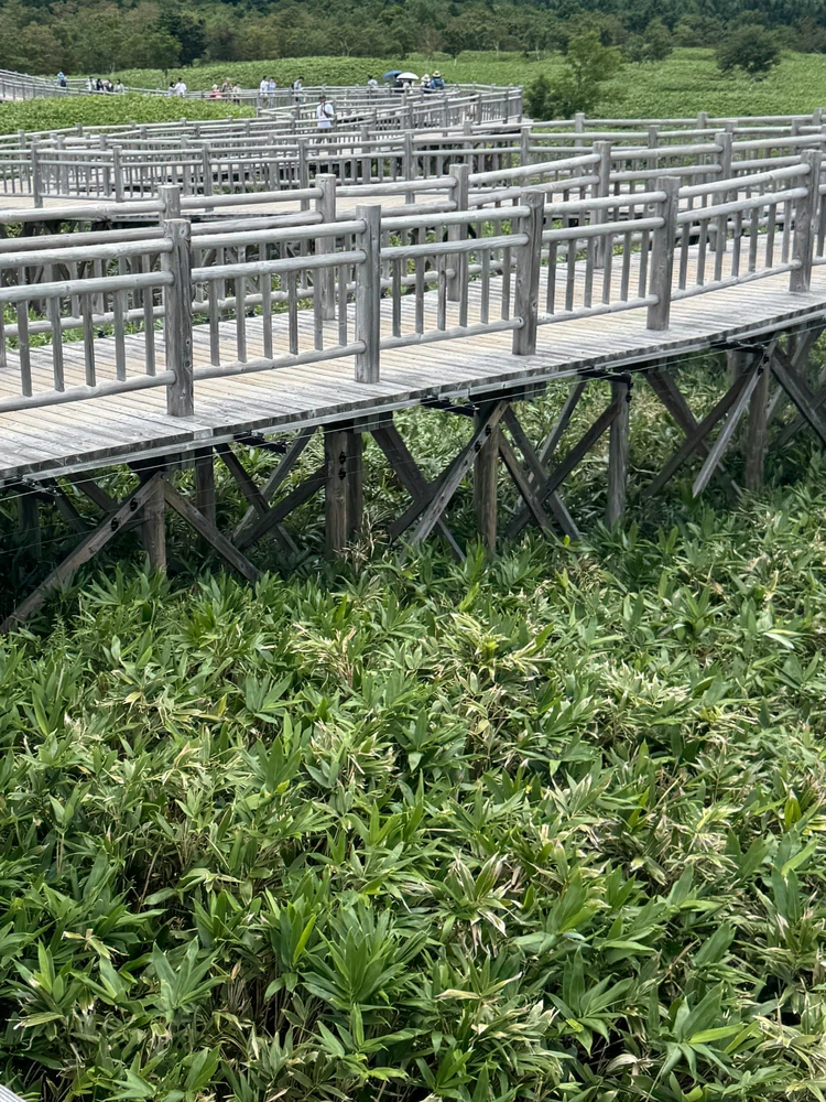 【北海道 道東エリア】網走・知床・弟子屈２泊３日絶景旅②知床半島＆野付半島編_11