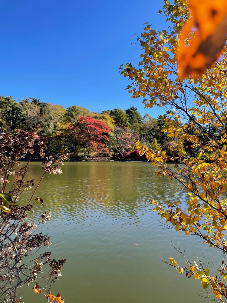 紅葉カヤック