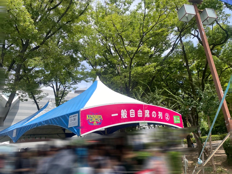 木下大サーカス名古屋公演 3年ぶり開催!2025年最新情報とおすすめポイント_3