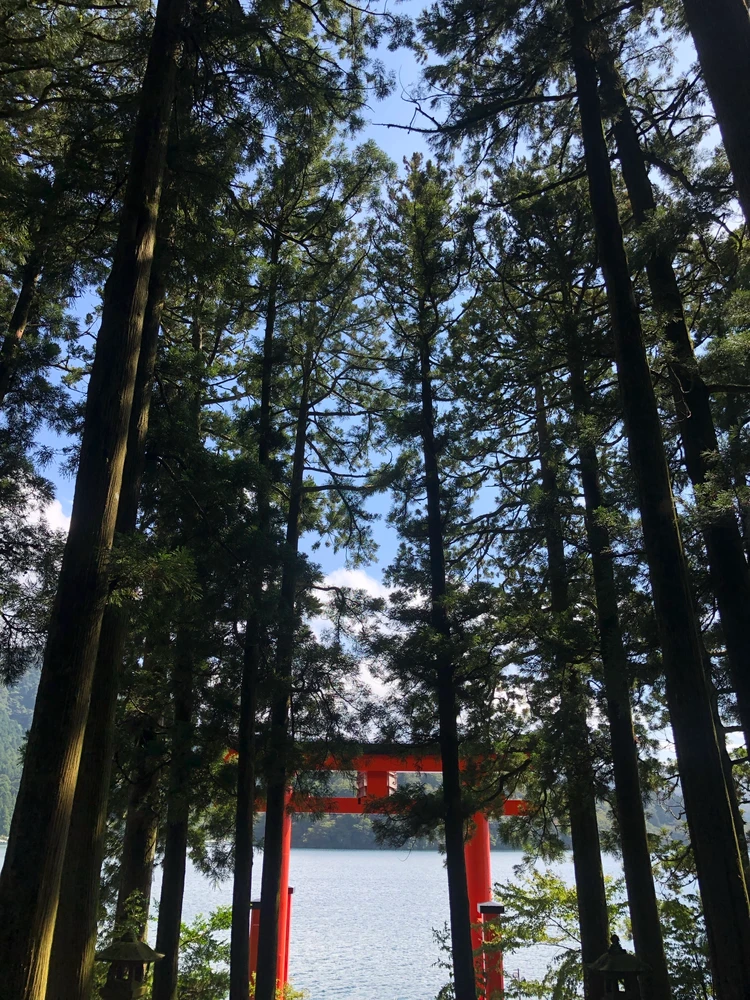 箱根神社 平和の鳥居を正面から撮影