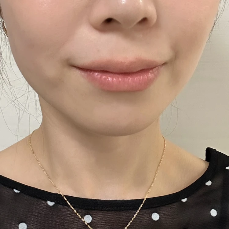 ヴィセ ネンマクフェイク ルージュⅡ PK850を塗った唇の色持ち 