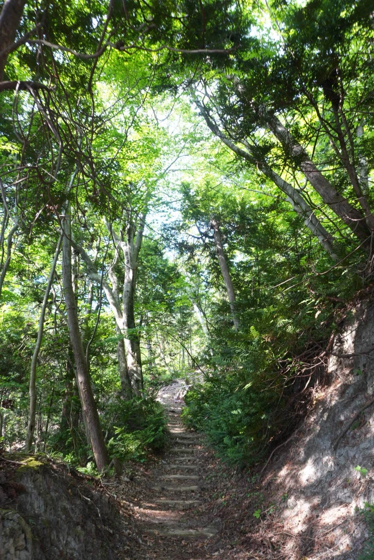 【2日目｜青森】十和田湖と白神山地を巡る大自然の東北絶景旅_13_1