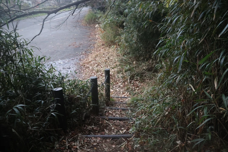 【新潟】登山口はまさかの海!? 角田山で標高0mから"青すぎる"登山【登山日記】_12