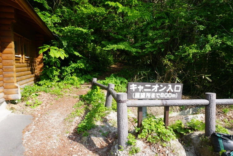【2日目｜青森】十和田湖と白神山地を巡る大自然の東北絶景旅_12_1