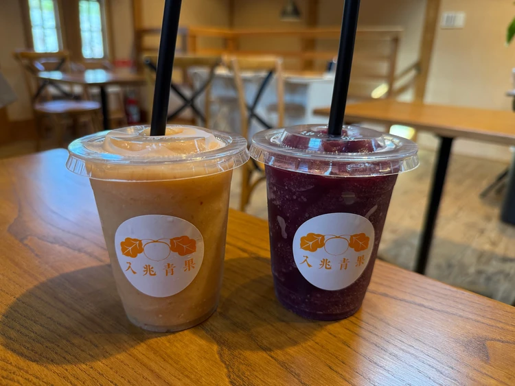 	【徒歩だけで満喫】車なしOK！山梨・甲府一泊二日モデルコース｜都内から電車で90分の大人旅_5