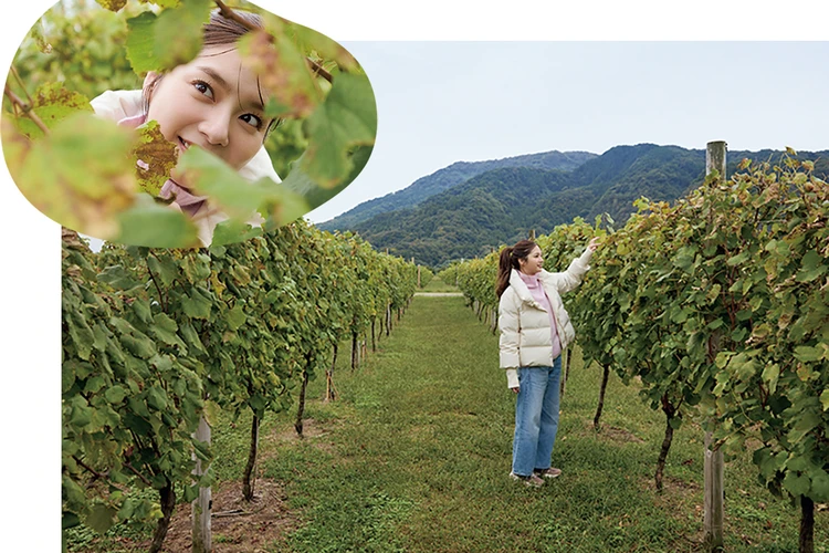 新川優愛　ぶどう園を見学