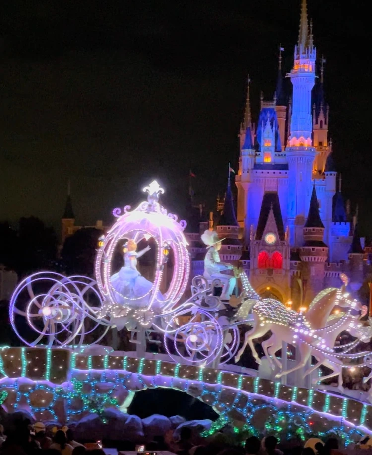 【クリスマスディズニー】絶対チェックしてほしいポイントをご紹介!ランドの大人の楽しみ方!_3